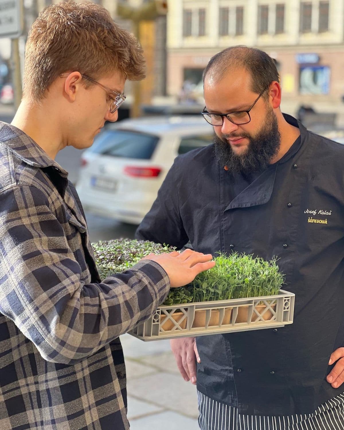 Aleksej Furmanov jako dodavatel do restaurací